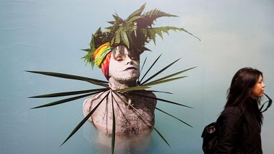 ARCO 2025: Wametisé, la gran serpiente del Amazonas vuelve a crear el mundo