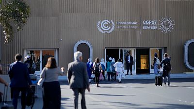 COP27: ¿Quién es el hombre que se pasea por la cumbre del clima