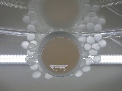 El 'Arte del Perfume' se expone el Madrid