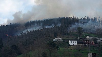 Asturias duplicará a 150 metros la distancia de los pueblos a los bosques para prevenir los incendios