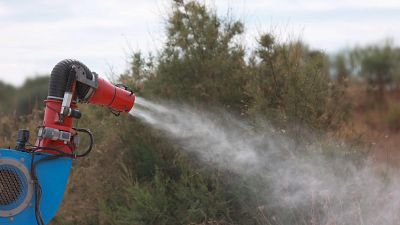 El ataque a la larva antes de que nazca el mosquito, clave en la lucha contra el virus del Nilo