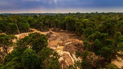 La deforestación de la Amazonía brasileña alcanza un récord en septiembre y aumentan los incendios