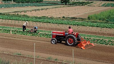 Rebaja del 20% del IRPF, avales y líneas ICO, entre las medidas del Gobierno en apoyo al campo frente a la sequía