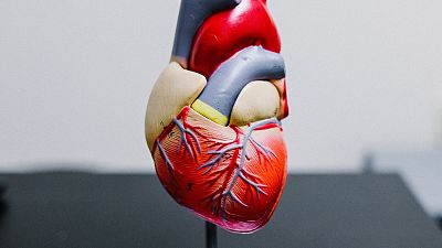 A Catalunya s'han fet 1.063 trasplantaments, un 6,4% més que l'any anterior A Catalunya s'han fet 1.063 trasplantaments, un 6,4% més que l'any anterior