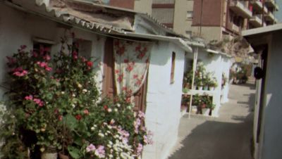 El barraquisme a Barcelona: el paisatge de la immigració del segle XX El barraquisme a Barcelona: el paisatge de la immigració del segle XX