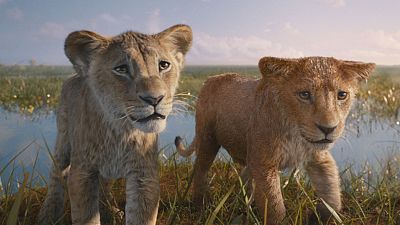 'El rey León', Disney lleva al cine la infancia del padre de Simba - Telediario 1 | Ver 'El rey León', Disney lleva al cine la infancia del padre de Simba - Telediario 1 | Ver