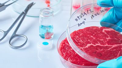 Bill Gates: las hamburguesas de laboratorio salvarán el mundo