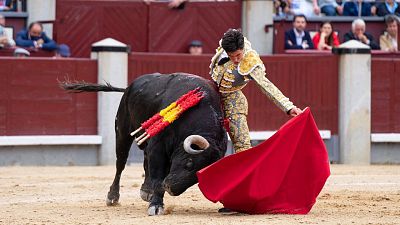 El Tribunal Supremo anula la exclusión de los toros del bono cultural joven de 2022