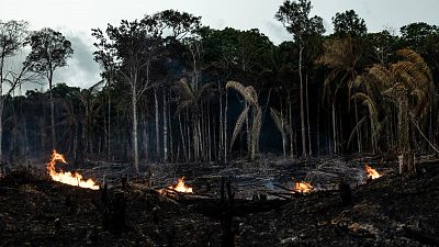 Brasil registra más incendios forestales en la Amazonia en menos de nueve meses que en todo el año 2021