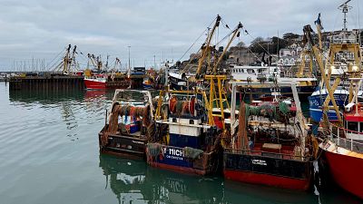 El 'Brexit', una píldora amarga para pescadores y agricultores: "Se han cargado nuestro sector"