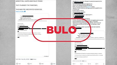 Este email de los archivos Esptein no demuestra que la pandemia fue planeada