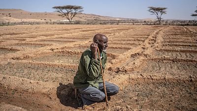 Somalia, el cambio climático y la sequía acaban con la vida nómada Somalia, el cambio climático y la sequía acaban con la vida nómada