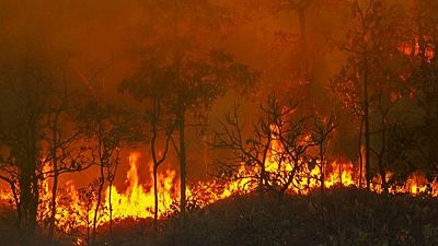 El cambio climático aumentó el riesgo de grandes incendios en 2023, según un estudio