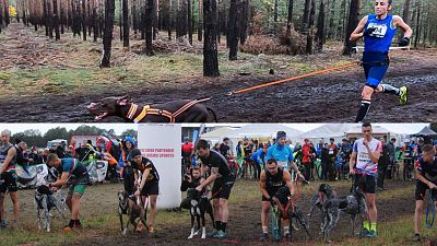 Olga Álvarez y Andoni Isusi explican el canicross para RTVE.es - Deportes de invierno | Ver Olga Álvarez y Andoni Isusi explican el canicross para RTVE.es - Deportes de invierno | Ver