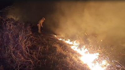 El viento sur complica la situación de los incendios en Cantabria - TeleCantabria | Ver