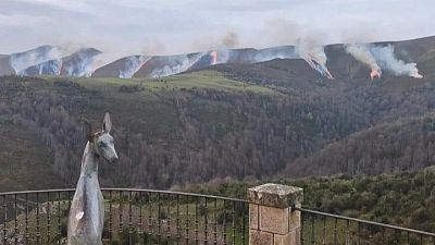 Un incendio forestal se propaga por las montañas, con llamas y humo visibles. En primer plano, se observa una escultura de un animal en un mirador, con una barandilla de hierro forjado.
