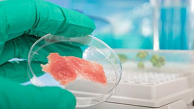 Carne artificial, el alimento de laboratorio que aspira a salvar al planeta