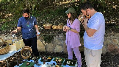 Castilla-La Mancha por la gastronomía sostenible