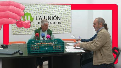 Una "catástrofe" en el sector de la cereza