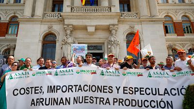 Cientos de agricultores protestan en Madrid para exigir ayudas ante la "grave" situación del sector del cereal