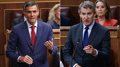 Pedro Sánchez y Alberto Núñez Feijóo, en una sesión de control al Gobierno en el Congreso de los Diputados