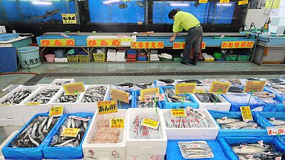 Comienzan a limpiar las aguas cerca de Fukushima para retomar la pesca