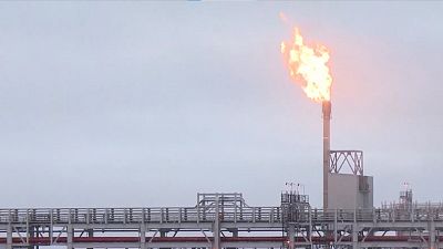 Bruselas propone una reserva de gas obligatoria a los países para reducir la dependencia energética de Rusia