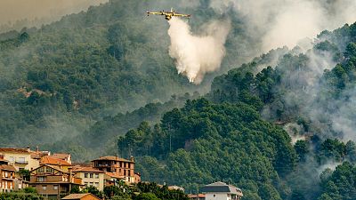 Cómo actuar correctamente si estás cerca de un incendio: lugares seguros y acciones que debes evitar