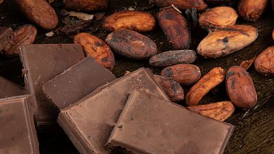 Así se hace el chocolate