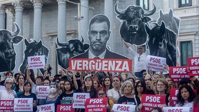Decae en el Congreso la iniciativa popular para que los toros dejen de ser patrimonio cultural con la abstención del PSOE