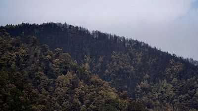 Controlado el incendio de Tenerife tras casi un mes desde su inicio