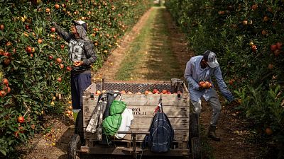 El coste de la discriminación laboral y educativa a los extranjeros alcanza los 17.000 millones, un 1,3% del PIB