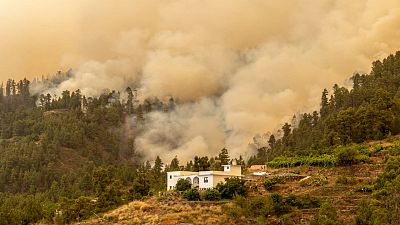 Un incendio forestal en La Palma quema más de 4.500 hectáreas y obliga al desalojo de 4.000 personas