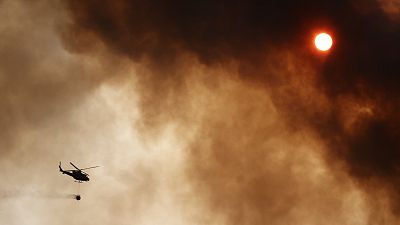 Declarados cuatro incendios en Teruel, Tarragona, Lleida y Navarra en plena alerta por las temperaturas extremas