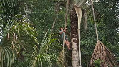 La deforestación de la Amazonía en datos: 1,57 millones de hectáreas en 2021