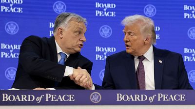 La ultraderecha europea, en aprietos para apoyar a Trump La ultraderecha europea, en aprietos para apoyar a Trump