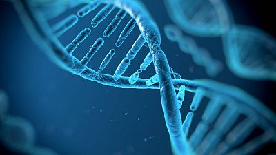 Un grupo de investigadores descifra por primera vez la secuencia completa y sin huecos del genoma humano