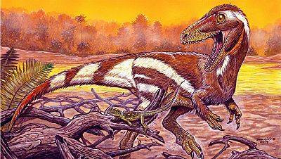 Descubren en Brasil un fósil de unos 115 millones de años de una especie de dinosaurio desconocida