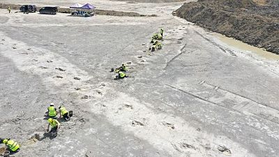 Descubren el mayor yacimiento de huellas de dinosaurio en una cantera de Reino Unido