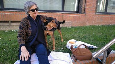 El desigual acceso de perros al metro en España