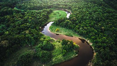 La despoblación y reforestación de la Amazonia fue previa a la llegada de los europeos