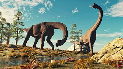 Identifican al "dinosaurio de la paz", que vivió en el norte de Colombia hace 175 millones de años