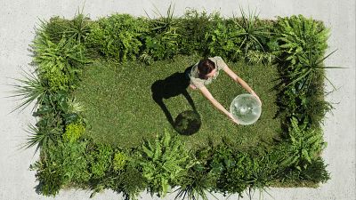 El ecofeminismo propone educar la mirada para reaprender a habitar la Tierra: "Vivimos sin mirar lo que nos mantiene"