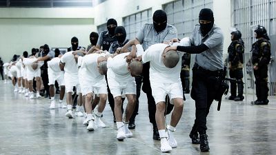 EE.UU. expulsa a El Salvador a 238 presuntos criminales venezolanos ignorando una resolución judicial en contra