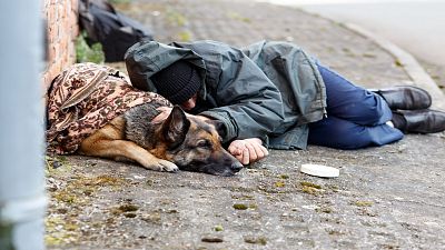Una persona sense llar dormint al carrer amb la seva mascota. Una persona sense llar dormint al carrer amb la seva mascota.