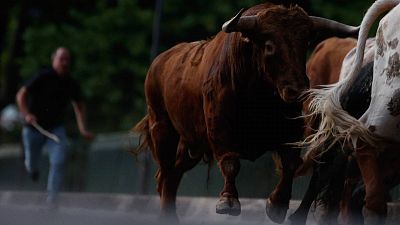 Abierto el plazo para inscribirse en el sorteo de pases para el encierrillo de San Fermín 2023