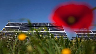 La encrucijada de los parques fotovoltaicos en la Comunitat Valenciana