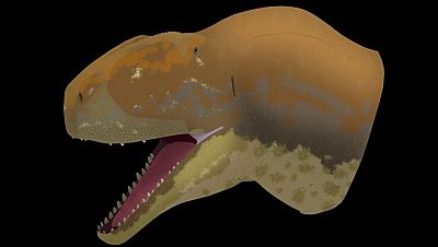 Así era el Majungasaurinae, el dinosaurio que dejó 40 dientes en el yacimiento de Algora