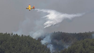 El fuego en Tenerife da un respiro, con un único frente avanzando en Güímar