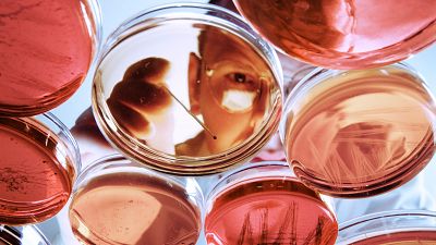 España afina sus redes para pescar en el río revuelto de la ciencia de Estados Unidos